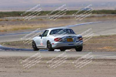 media/Oct-04-2025-OnGrid (Sat) [[44bd565ffa]]/Pink Group/Grapevine/